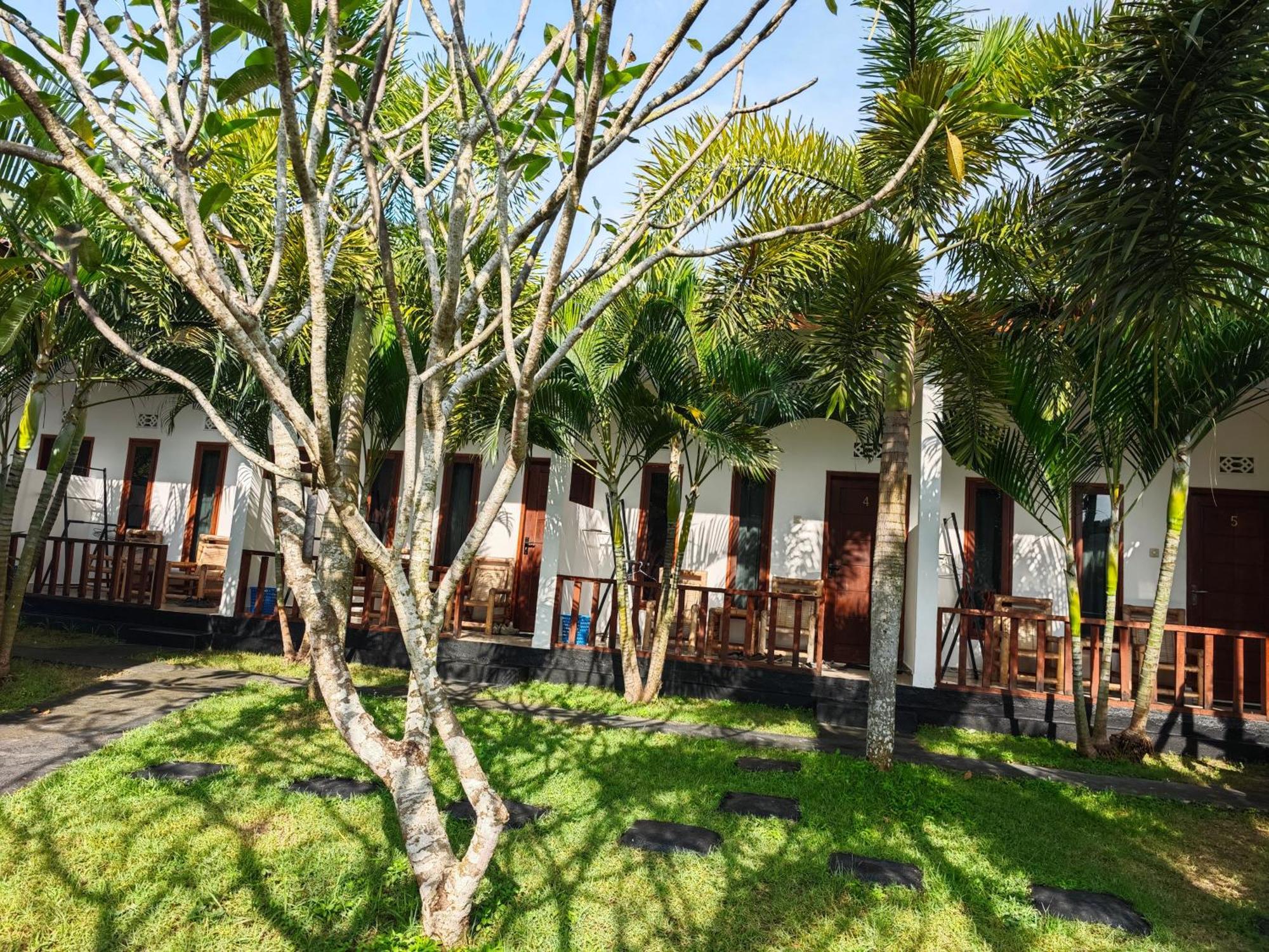 Hotel Surf Camp 79 Kuta  Exterior foto